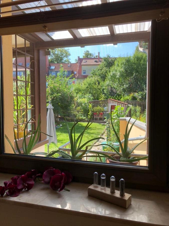 Ferienwohnung an der grünen Clara Erfurt Exterior foto