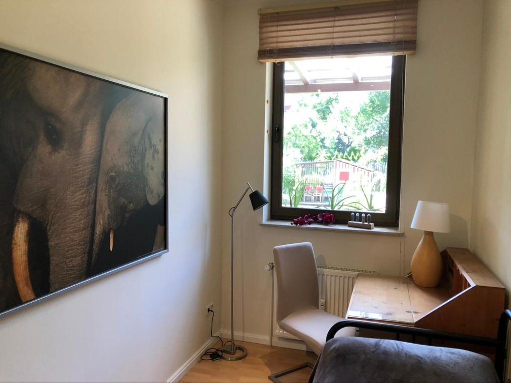 Ferienwohnung an der grünen Clara Erfurt Exterior foto
